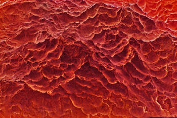 A 42C
